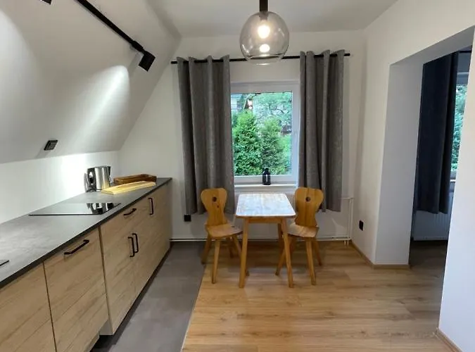 Jelonek * 扎科帕内